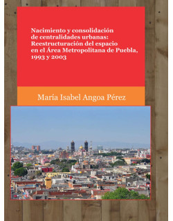 Nacimiento y consolidación de centralidades urbanas: Reestructuración del espacio en el Área Metropolitana de Puebla