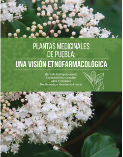 Plantas medicinales de Puebla: Una visión etnofarmacológica