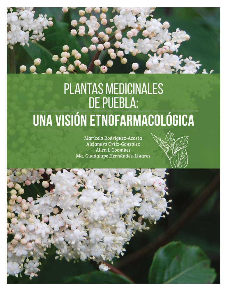 Plantas medicinales de Puebla: Una visión etnofarmacológica