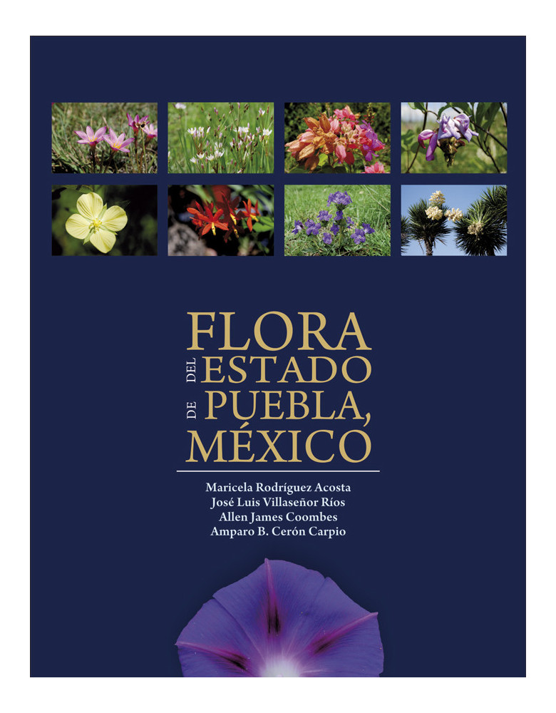 Flora del estado de Puebla, México