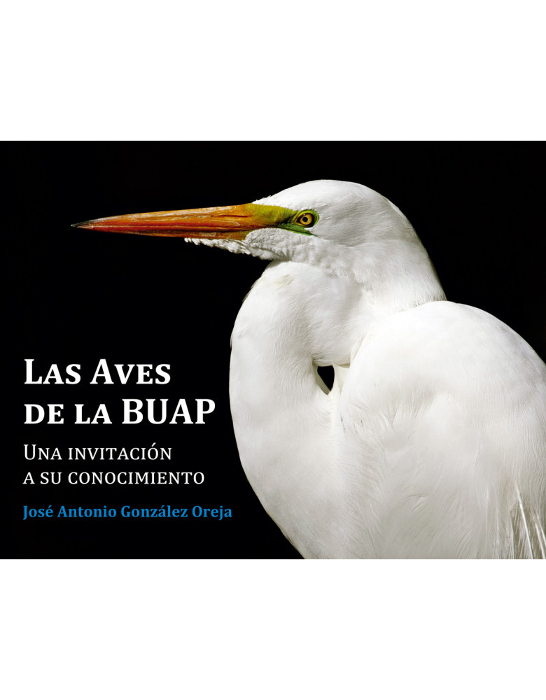 Las aves de la BUAP. Una invitación a su conocimiento